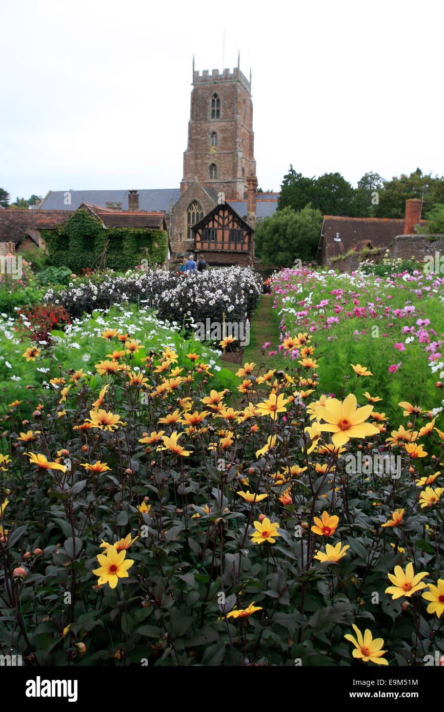 Il giardino da sogno in Dunster e St George 's Chiesa dietro Foto Stock