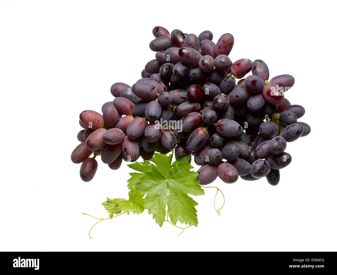 Crimson Seedless uve su sfondo bianco, in studio. Foto Stock