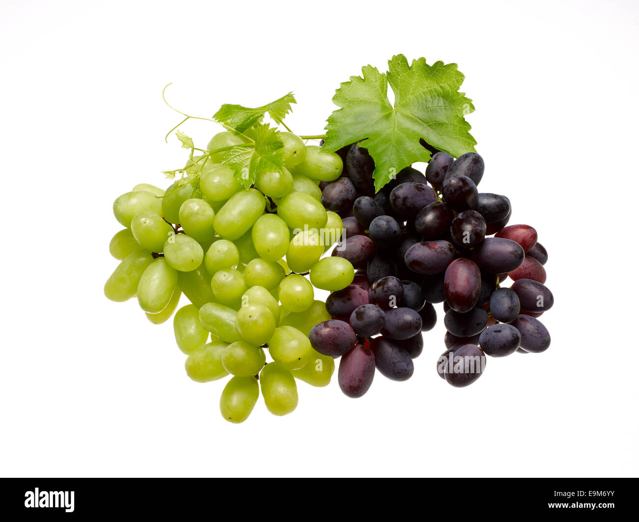 Thompson Seedless e cremisi Uve da tavola senza semi su bianco di sfondo per studio. Foto Stock