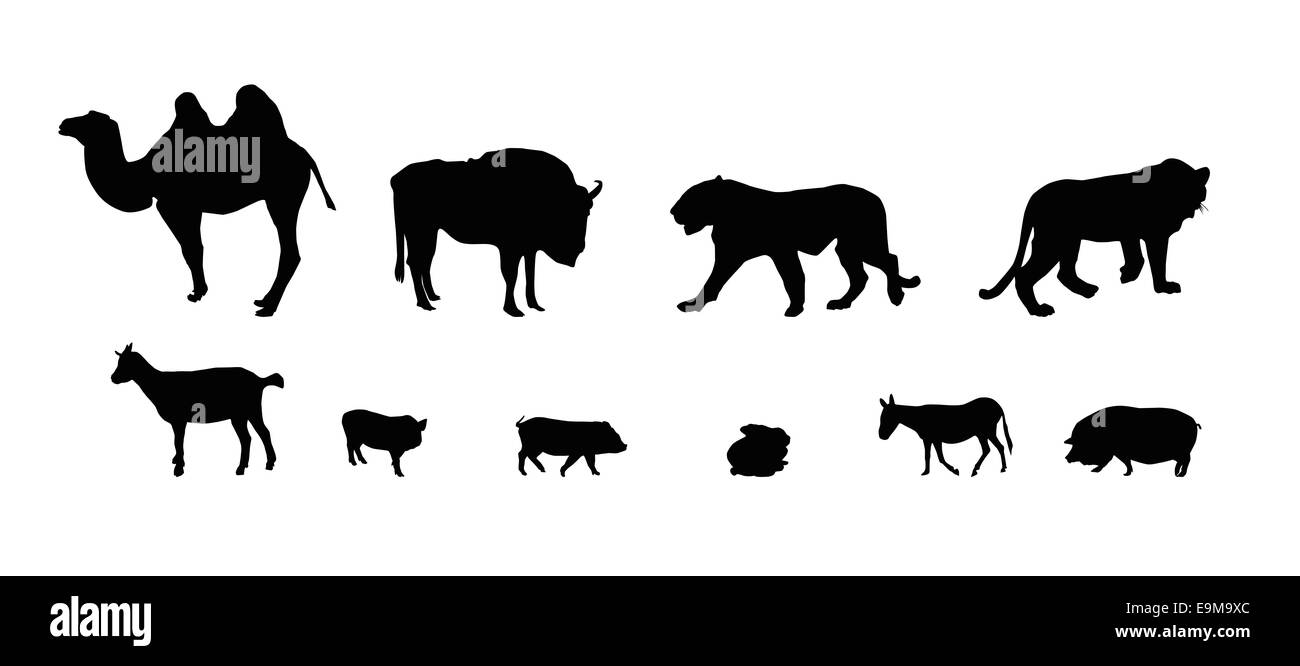 Silhouette di animali selvatici e domestici. In bianco e nero. Illustrazione Vettoriale. Foto Stock