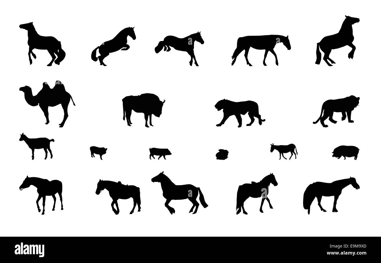 Silhouette di animali selvatici e domestici. In bianco e nero. Illustrazione Vettoriale. Foto Stock