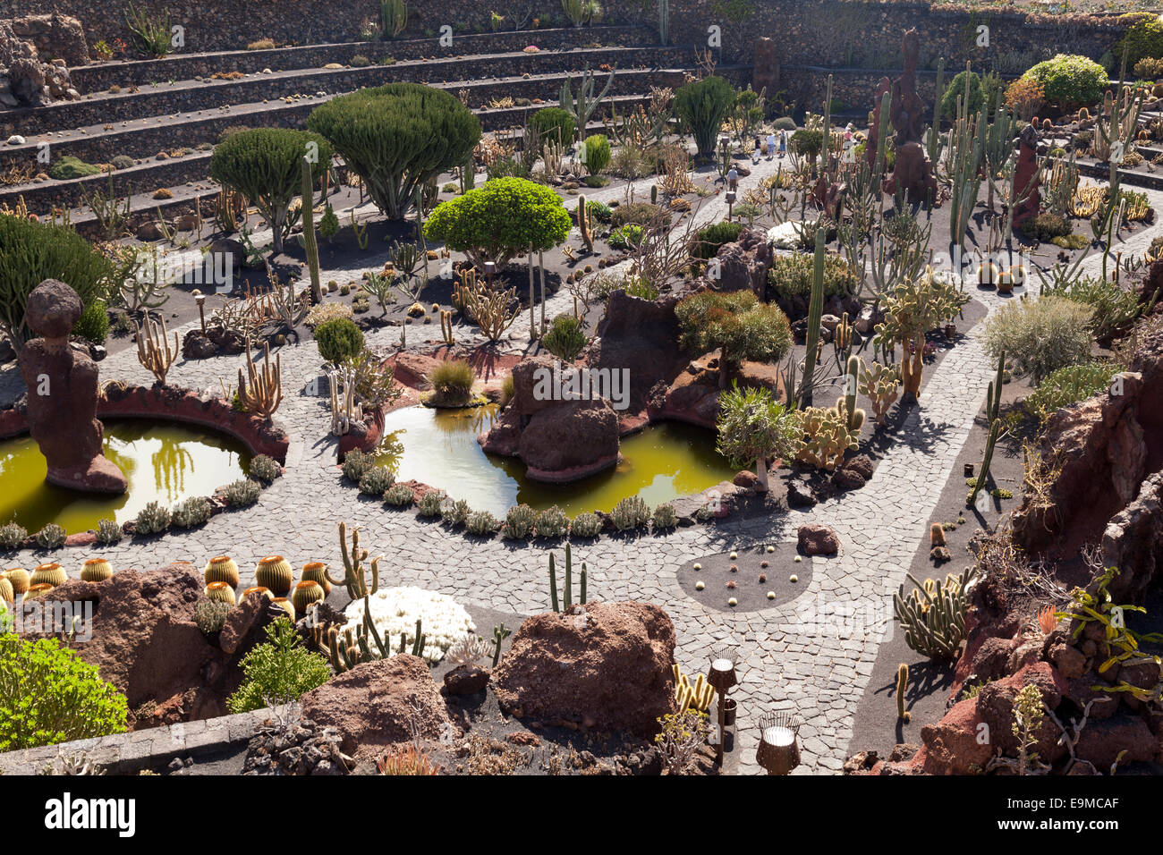 Il Giardino dei Cactus, Jardin du Cactus, Lanzarote Foto Stock