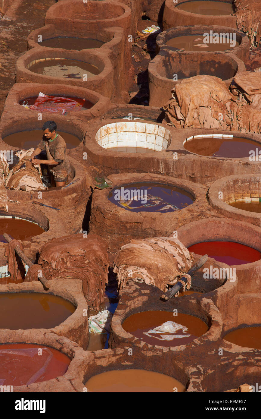 La conceria tradizionale con vasche morente, Il Chouwara, Chouara, Città Vecchia Medina di Fez, Fes, Fez el Bali, Marocco Foto Stock