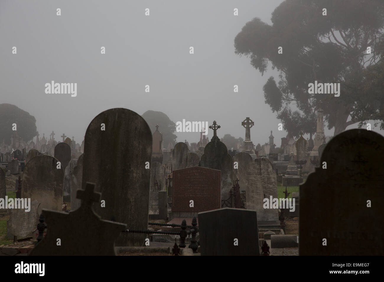 Lapidi al cimitero contro il cielo chiaro, Melbourne, Victoria, Australia Foto Stock