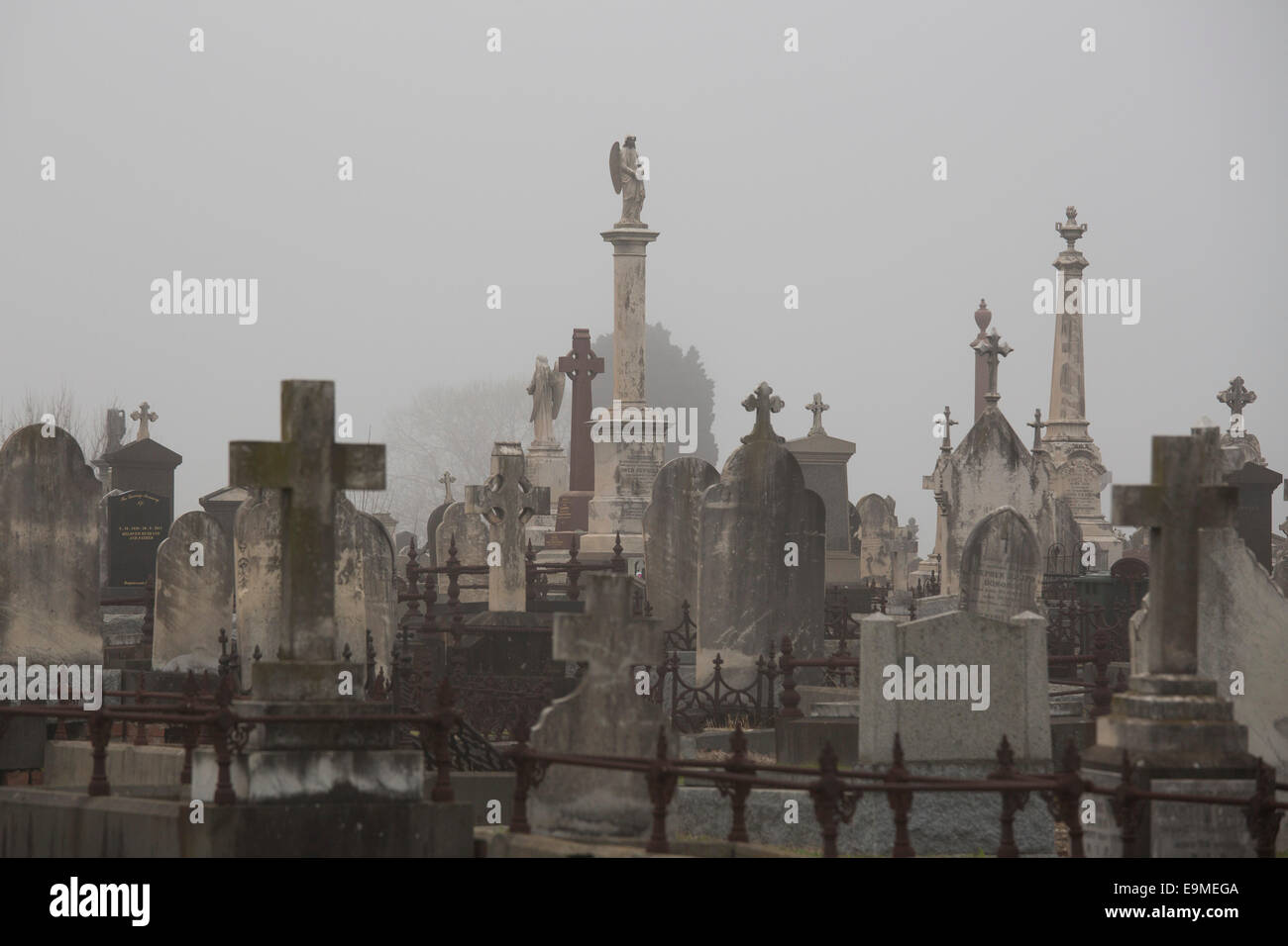 Cimitero contro il cielo chiaro, Melbourne, Victoria, Australia Foto Stock