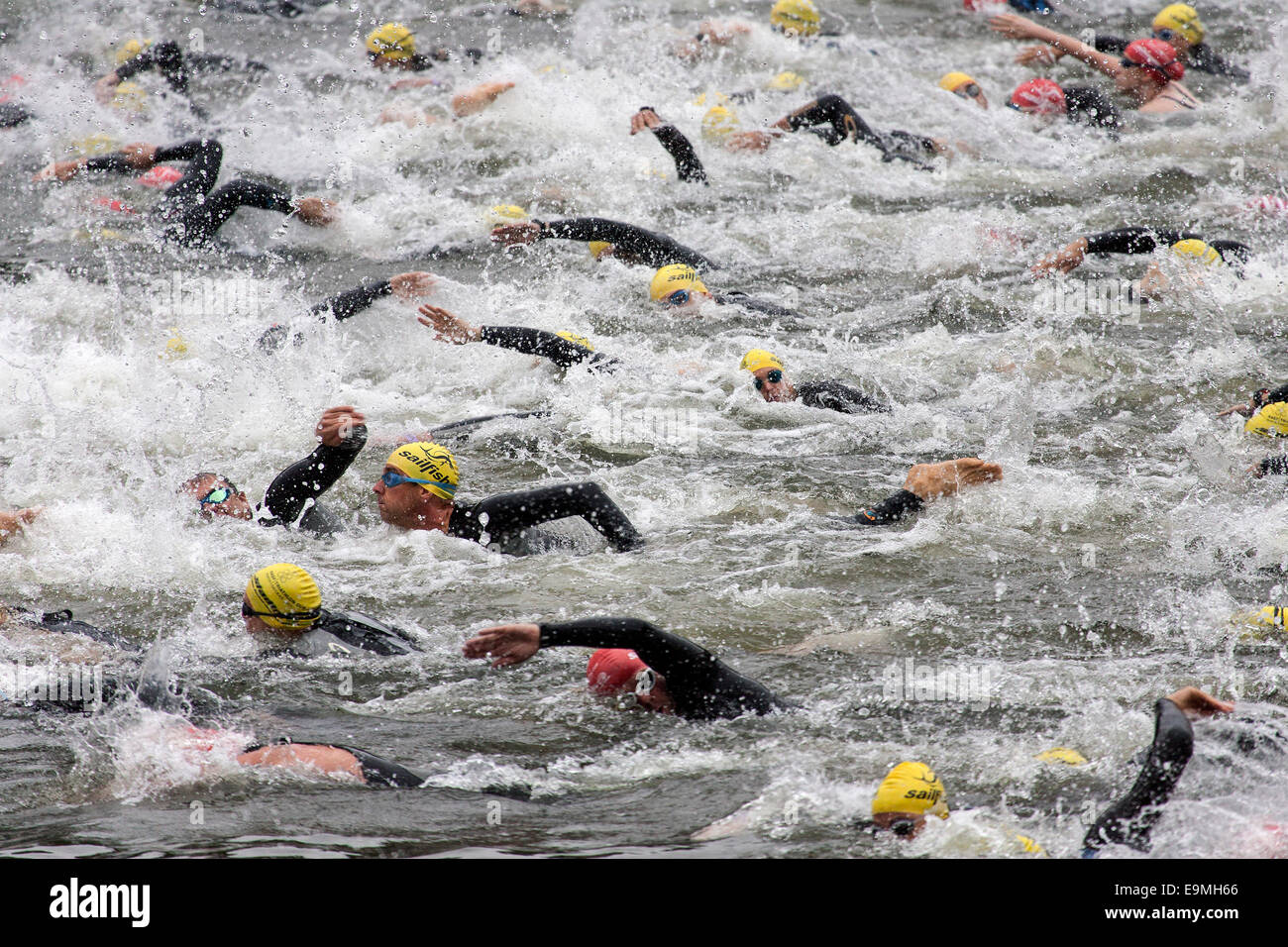 Nuotatori del Neckar, nuoto la concorrenza a Heidelberg Triathlon, Heidelberg, Baden-Württemberg, Germania Foto Stock