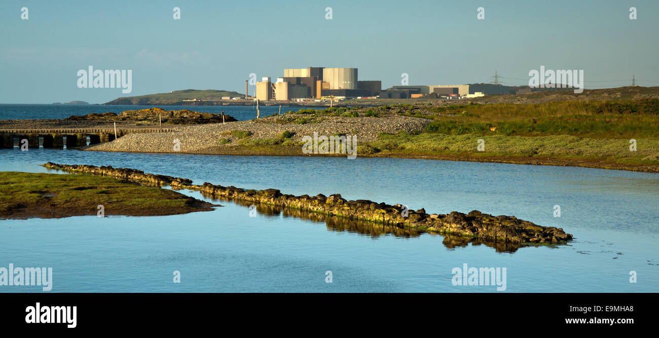 Wylfa power station è l'unica centrale nucleare in Galles visto dall'estremità occidentale della baia di Cemlyn sulla costa settentrionale Foto Stock