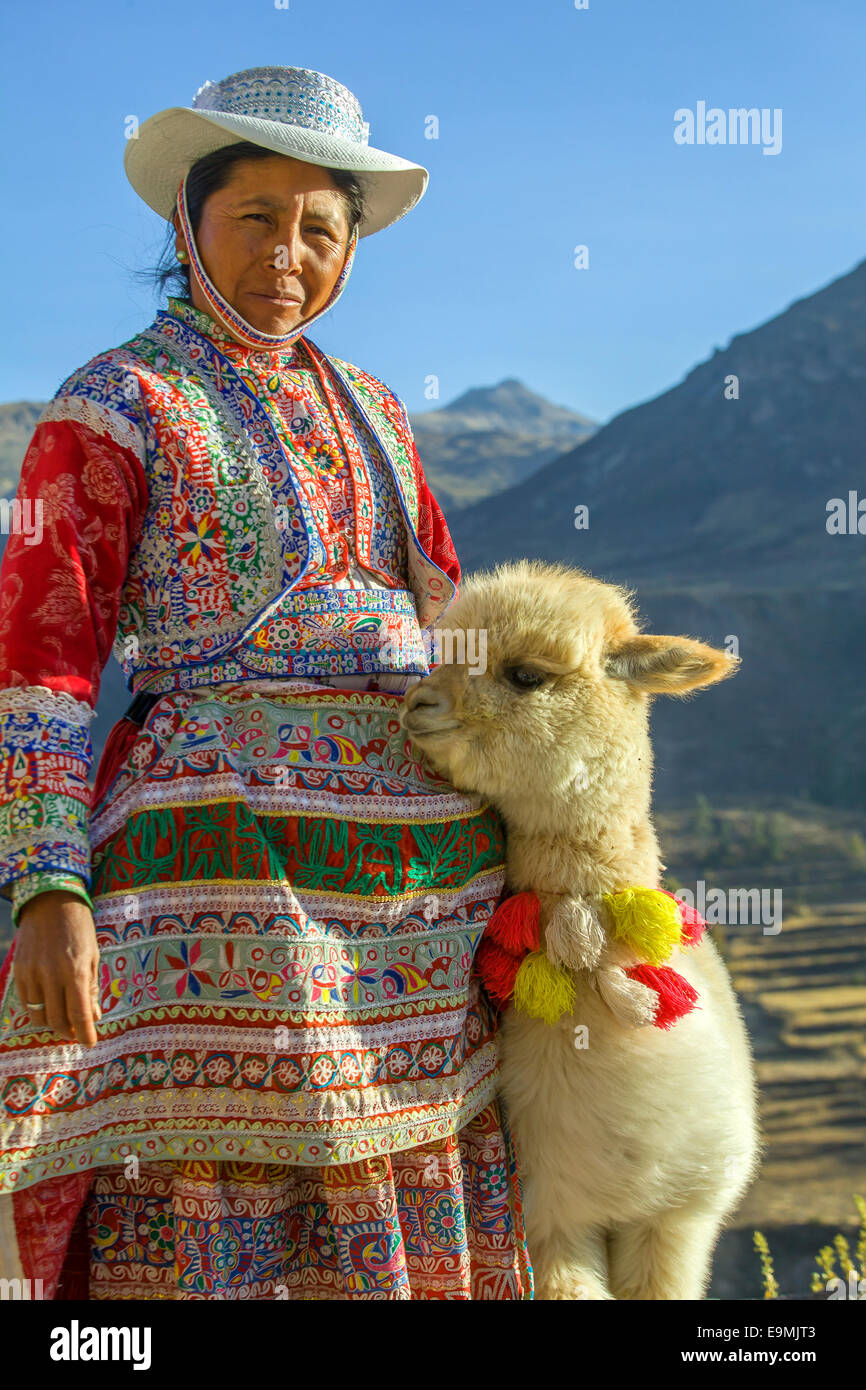 Tradizionale Donna Peruviana con baby alpaca in posa il Canyon del Colca Foto Stock