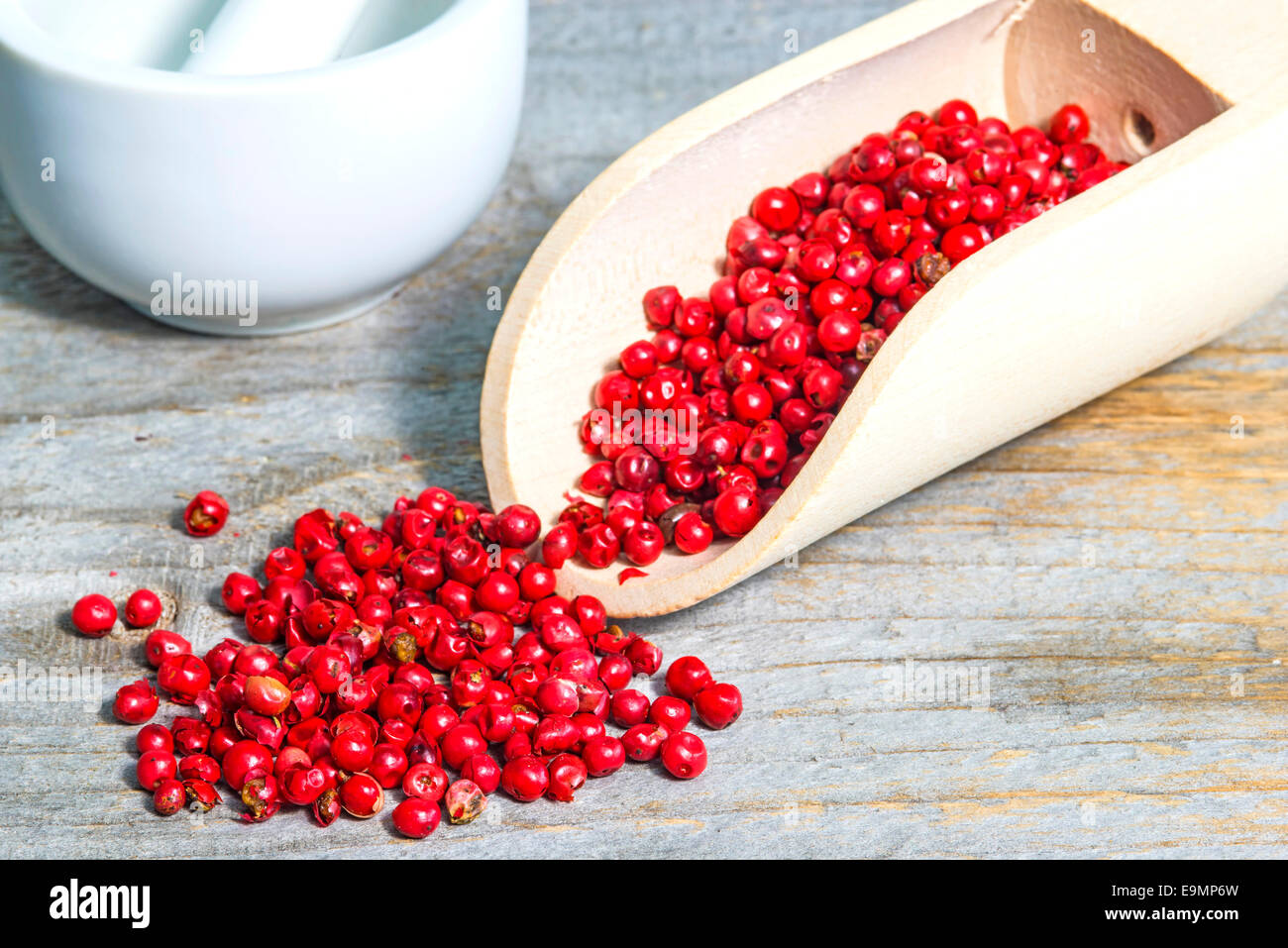 Peperone rosso Foto Stock