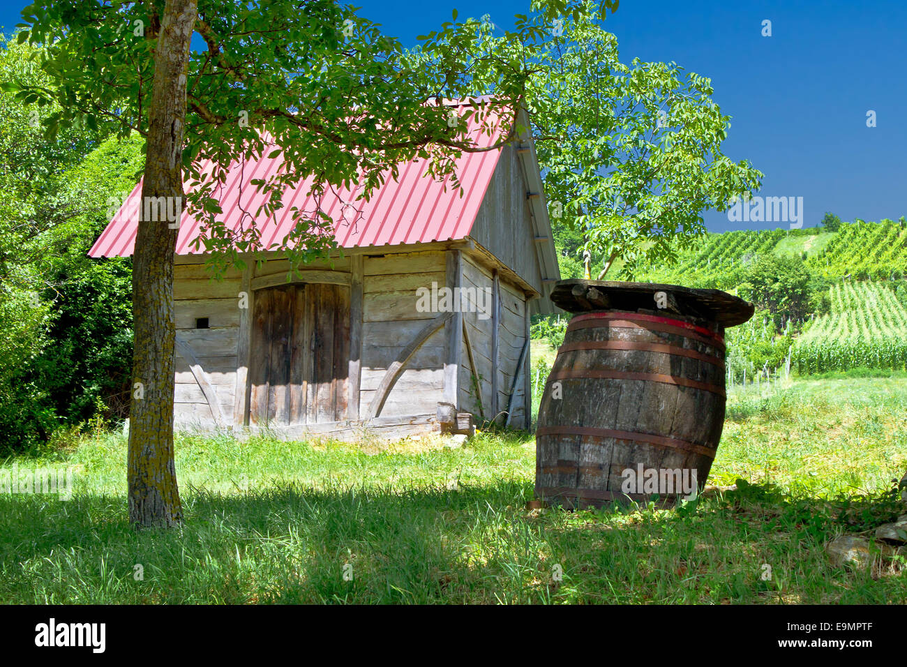 Cottage di legno e canna in vigna Foto Stock