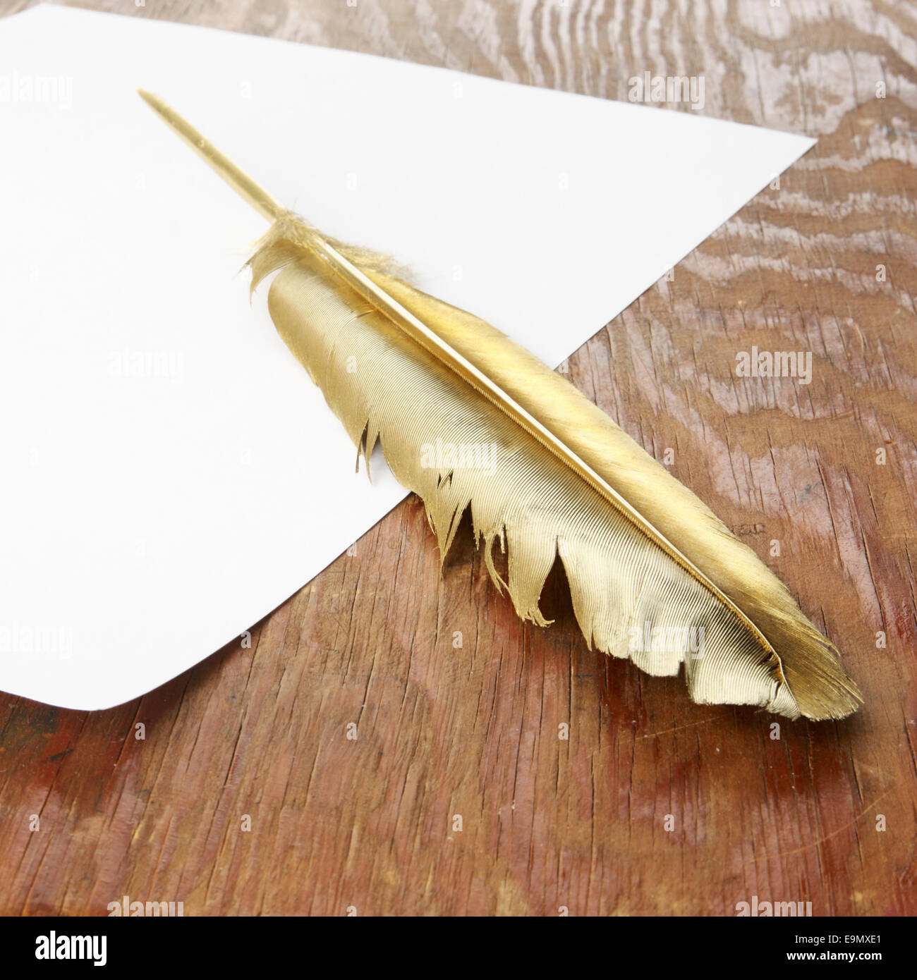 Oro firebird quill penna su un libro bianco e un tavolo di legno Foto Stock