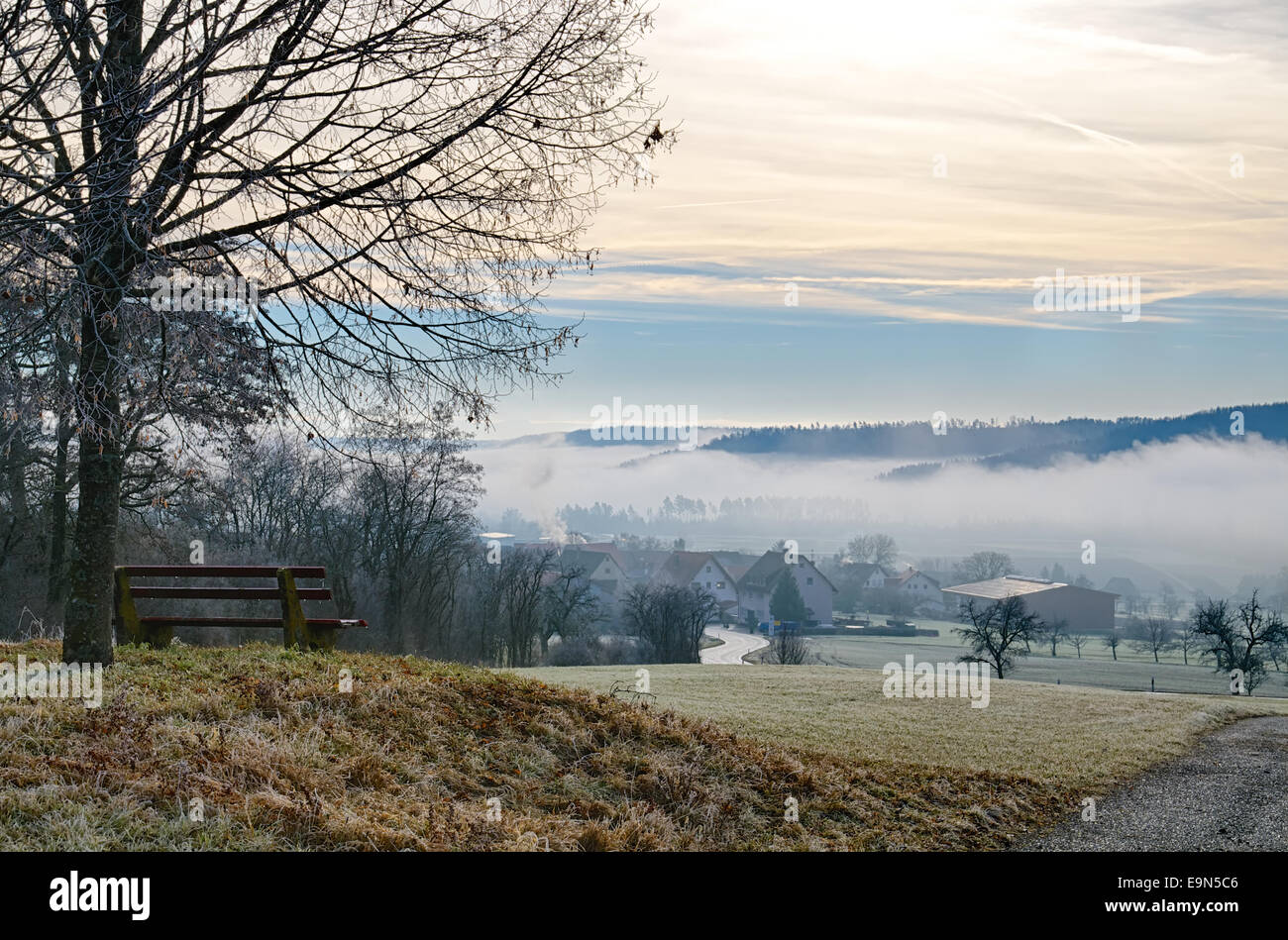 La nebbia paesaggio invernale Foto Stock