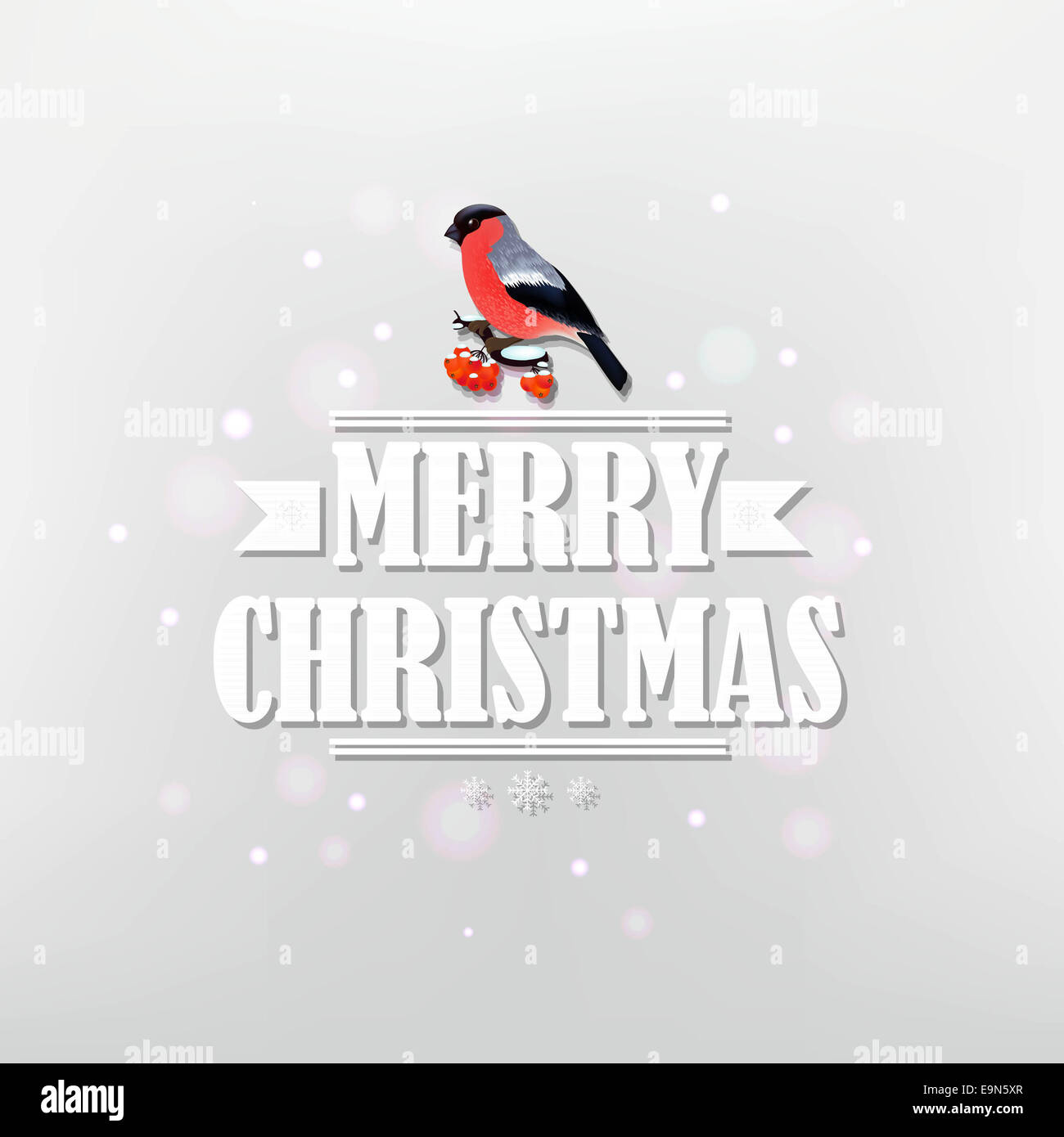 Vintage poster di Natale con Bullfinch Foto Stock