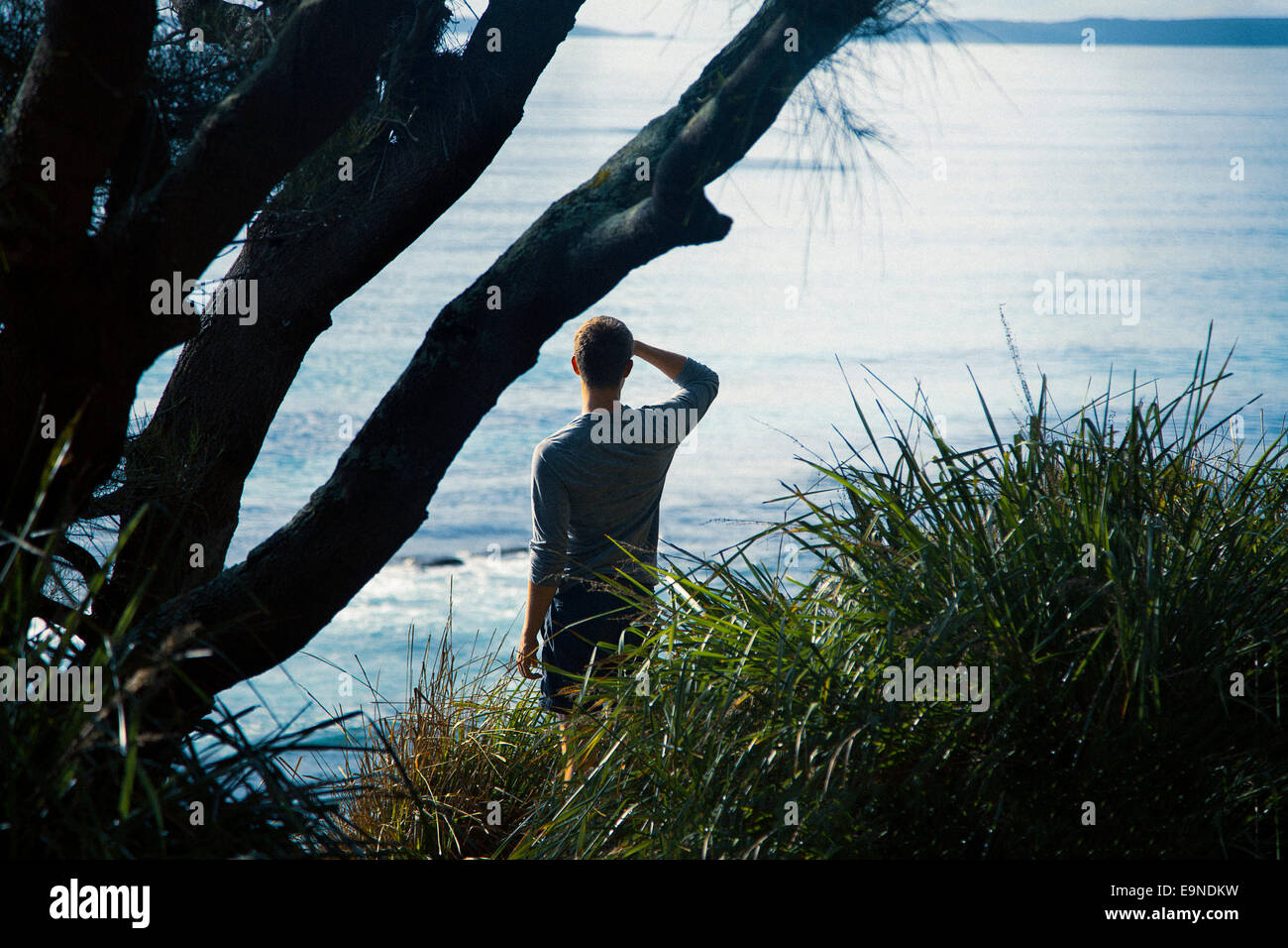 Giovane uomo in piedi in una scogliera, Australia Foto Stock