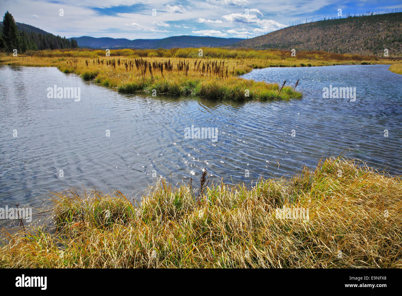 Plain, stream ed erba Foto Stock