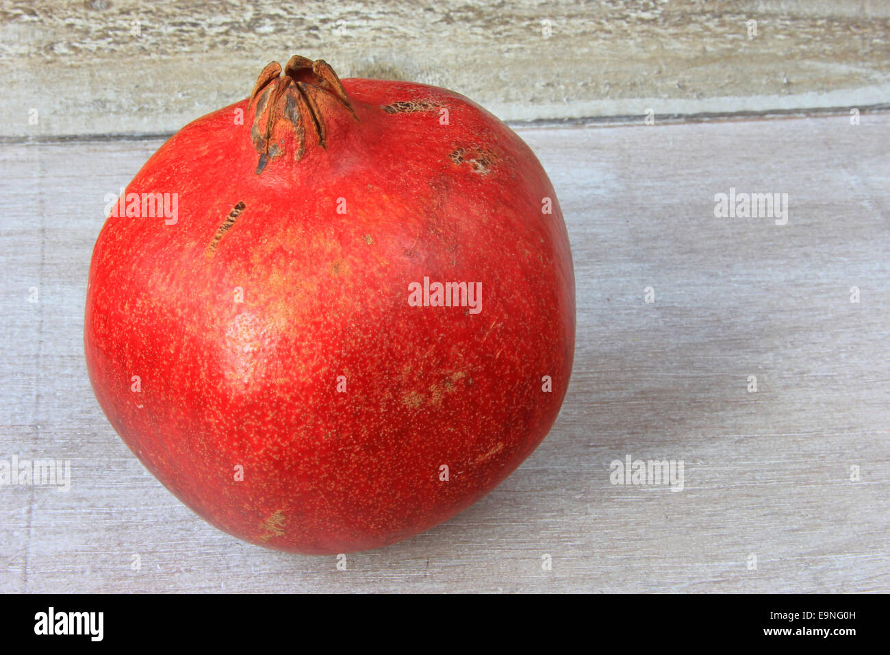 Melograno (Punica granatum) Foto Stock