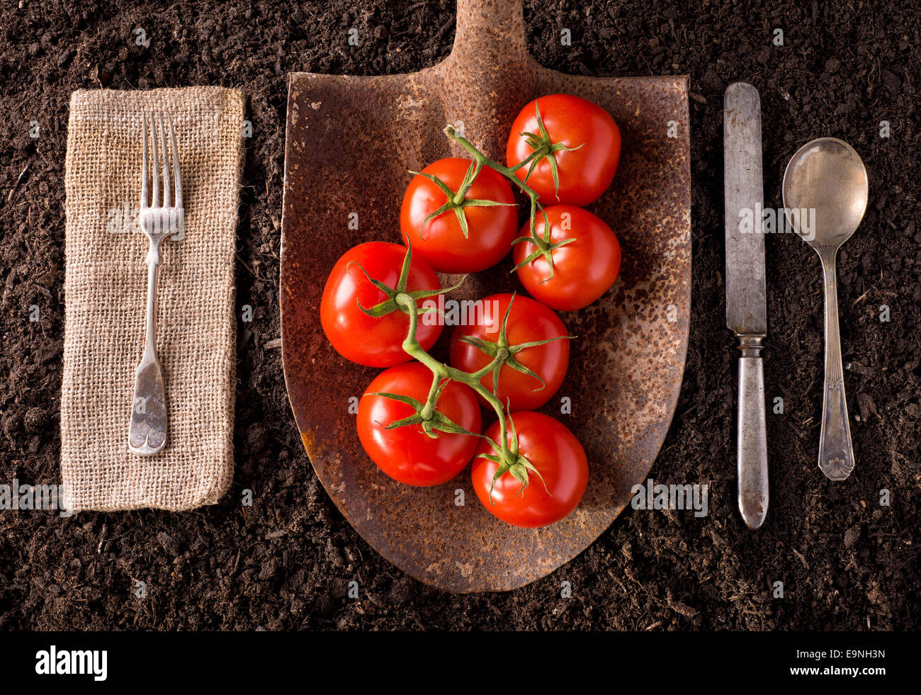 Azienda agricola biologica alla tabella mangiare sano concetto sul terreno dello sfondo. Foto Stock