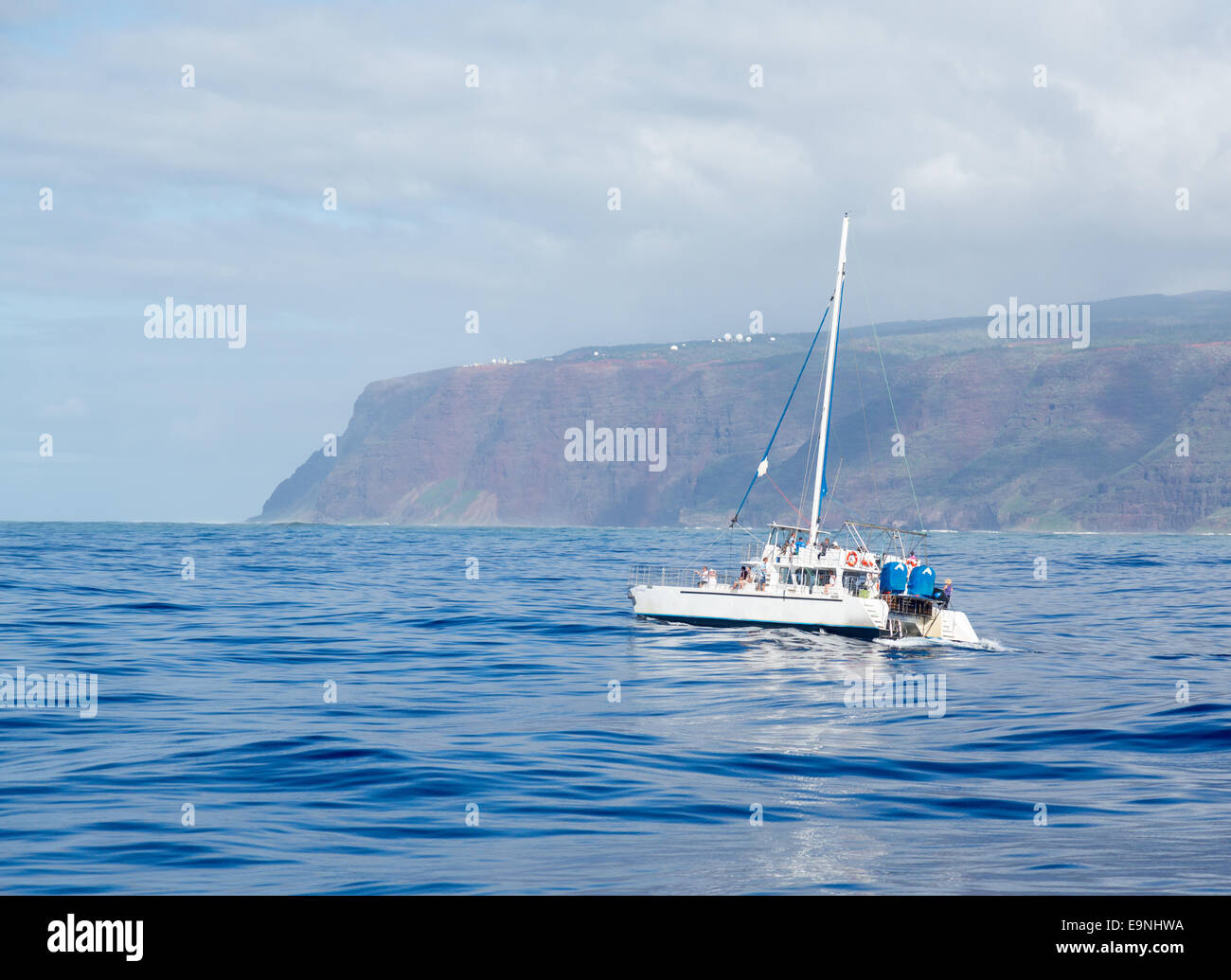 Ocean Yachts crociera avvistamento balene Foto Stock