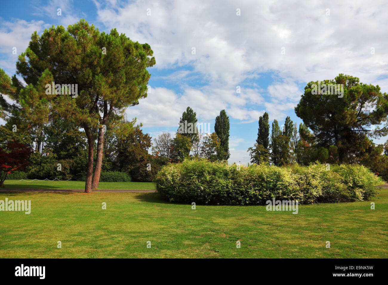 Il prato di erba Foto Stock