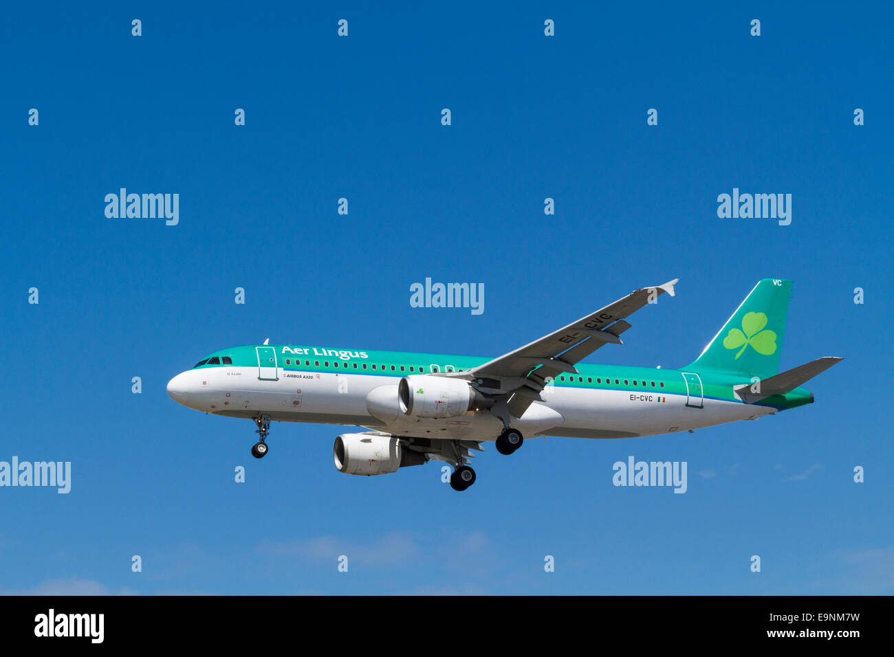 Aer Lingus Airbus A320 piano, EI-CVC, denominato St Kealin, per il suo approccio per l'atterraggio all'Aeroporto di Londra Heathrow, England, Regno Unito Foto Stock