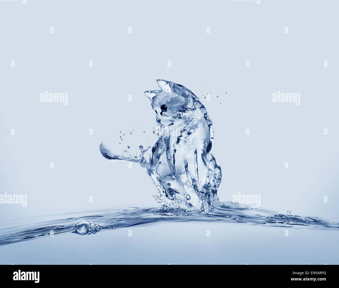 Un gatto fatto di acqua seduto sull'acqua. Foto Stock