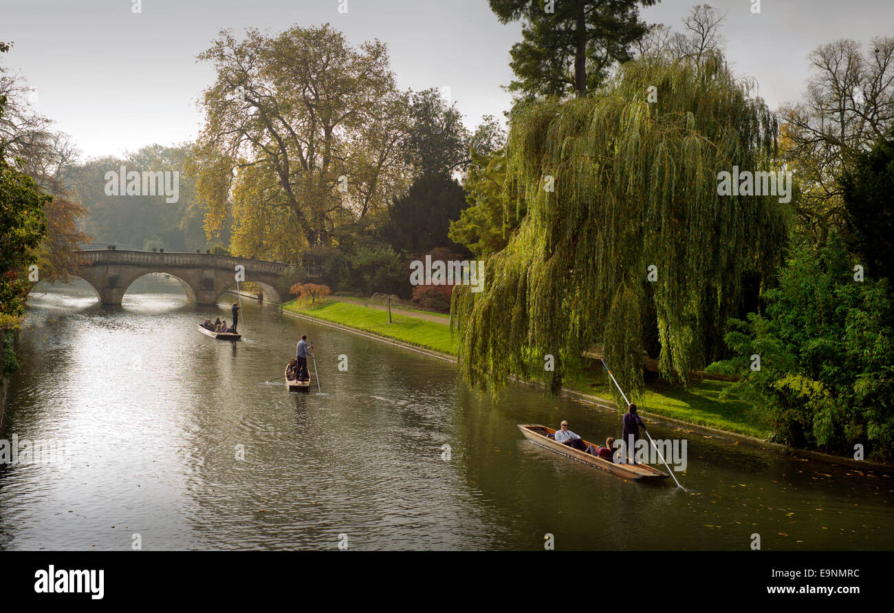 Punting sul fiume Cam Cambridge, Cambridgeshire England Regno Unito. Il 30 ottobre 2014 Foto Stock