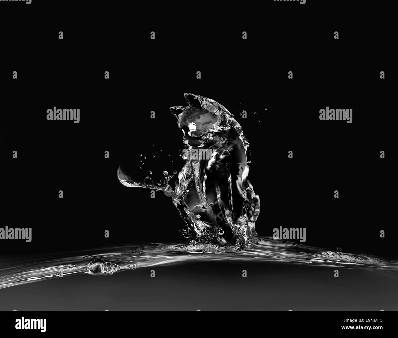 Un gatto fatto di acqua seduto sull'acqua. Foto Stock