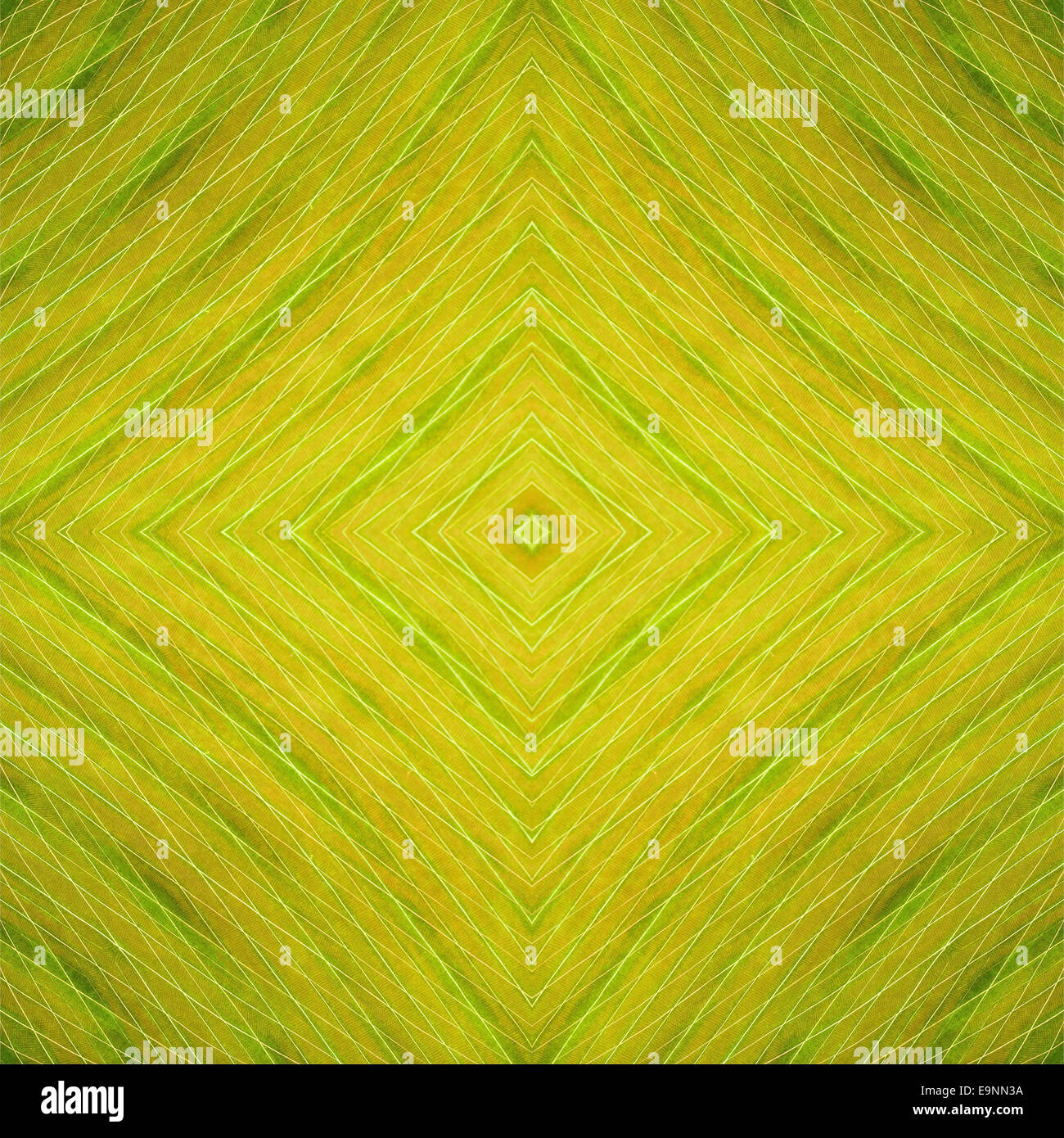 Foglia verde abstract texture di sfondo Foto Stock