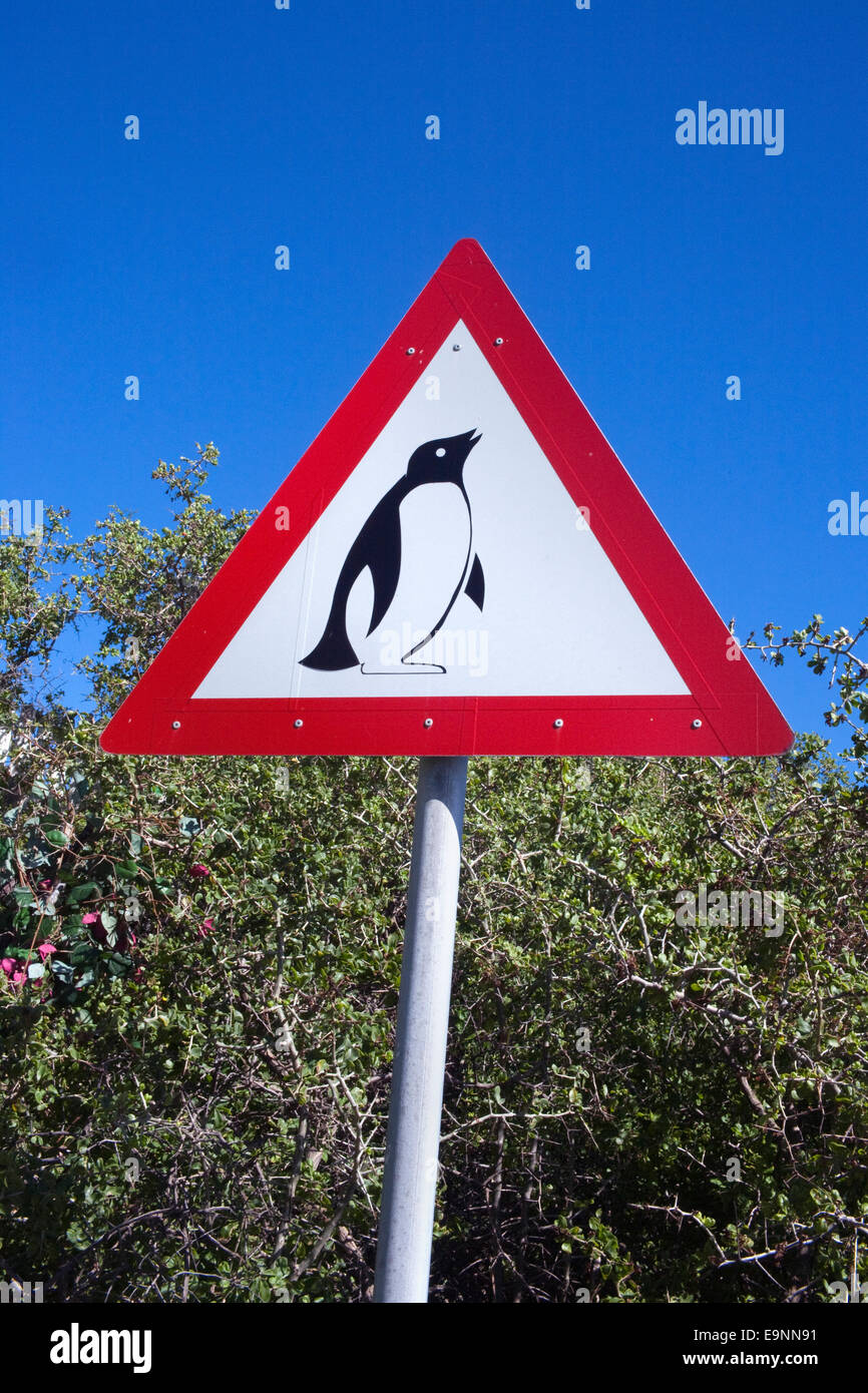 Pinguino africano strada segno di avvertimento, Spheniscus demersus, Table Mountain National Park, Cape Town, Sud Africa Foto Stock