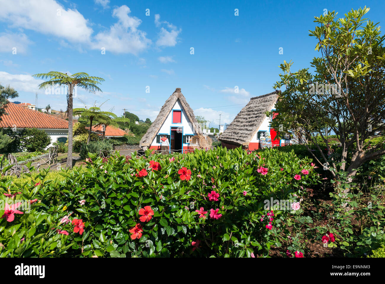 Casa Tradizionale, Santana, Madera - Isole Canarie Foto Stock