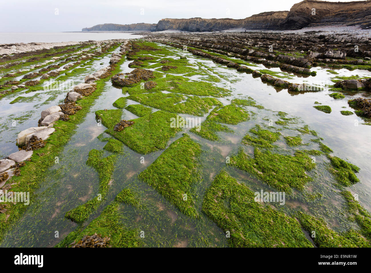 Geological strati di roccia a Kilve Beach, Somerset REGNO UNITO - parte di un grande sito di particolare interesse scientifico (SSSI) Foto Stock