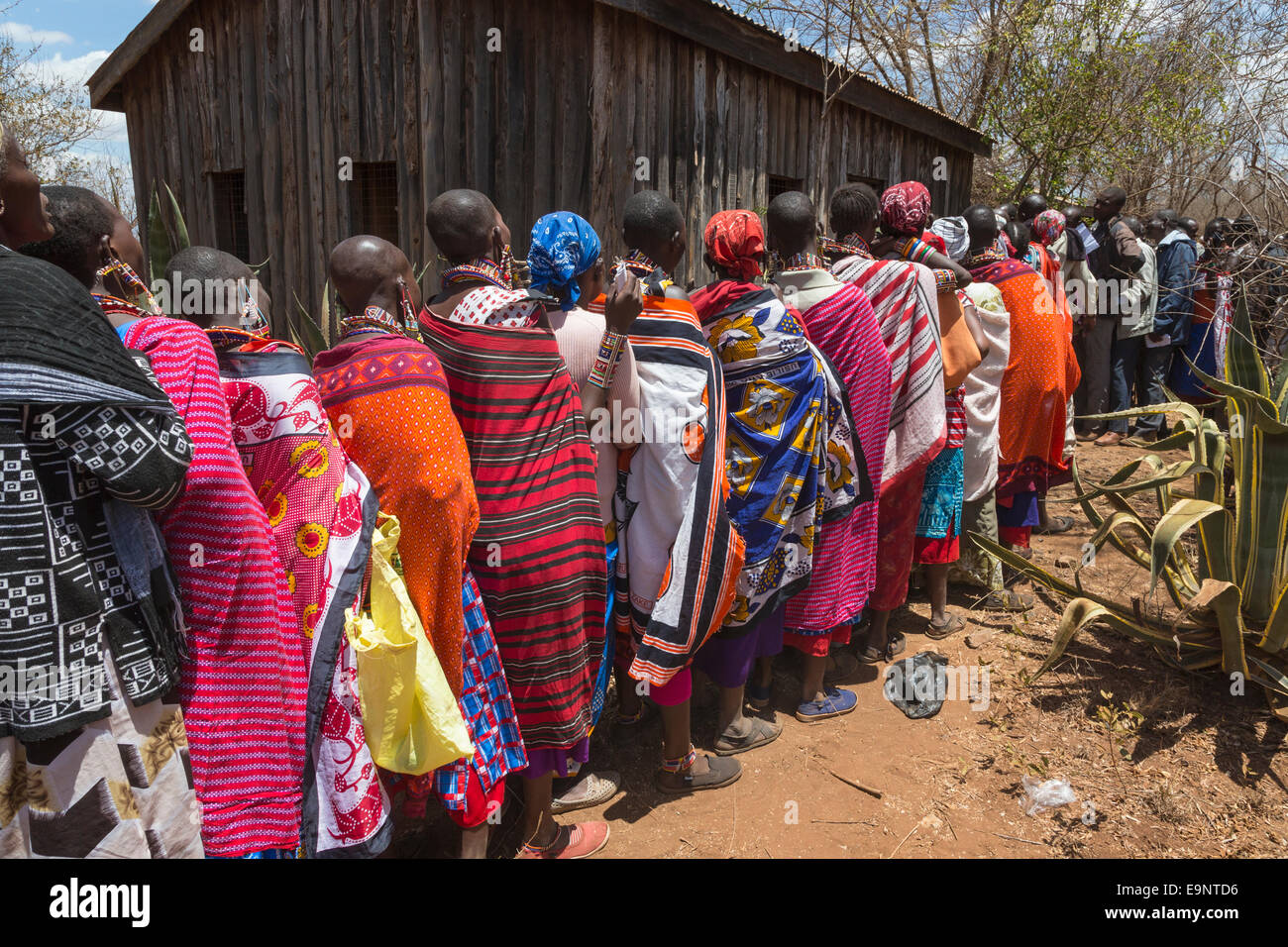 Le donne Masai che presso il predatore del fondo di compensazione di giorno di paga, Gruppo Mbirikani Ranch, Amboseli-Tsavo eco-sistema, Kenya, Africa, Ottobre Foto Stock