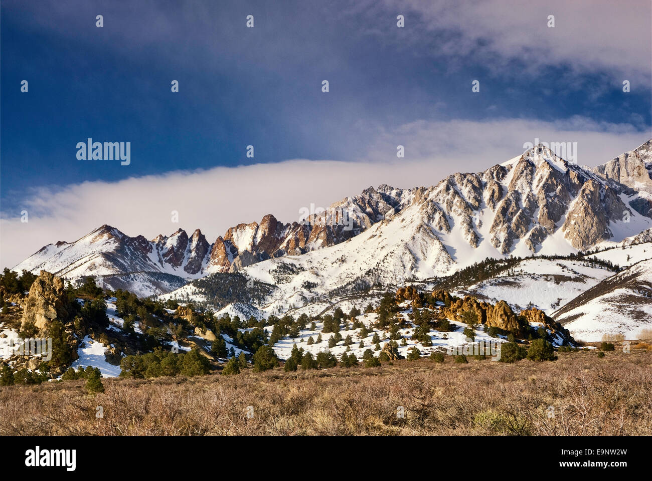 Eastern Sierra Nevada nel tardo inverno, latticello zona di campagna vicino al Vescovo, CALIFORNIA, STATI UNITI D'AMERICA Foto Stock