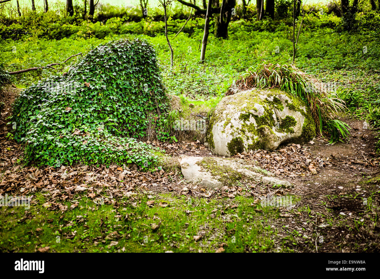L'edera-placcati e moss-coperto 'Mud cameriera' o giardino dea in un bosco di impostazione nei giardini di Heligan Cornovaglia Foto Stock