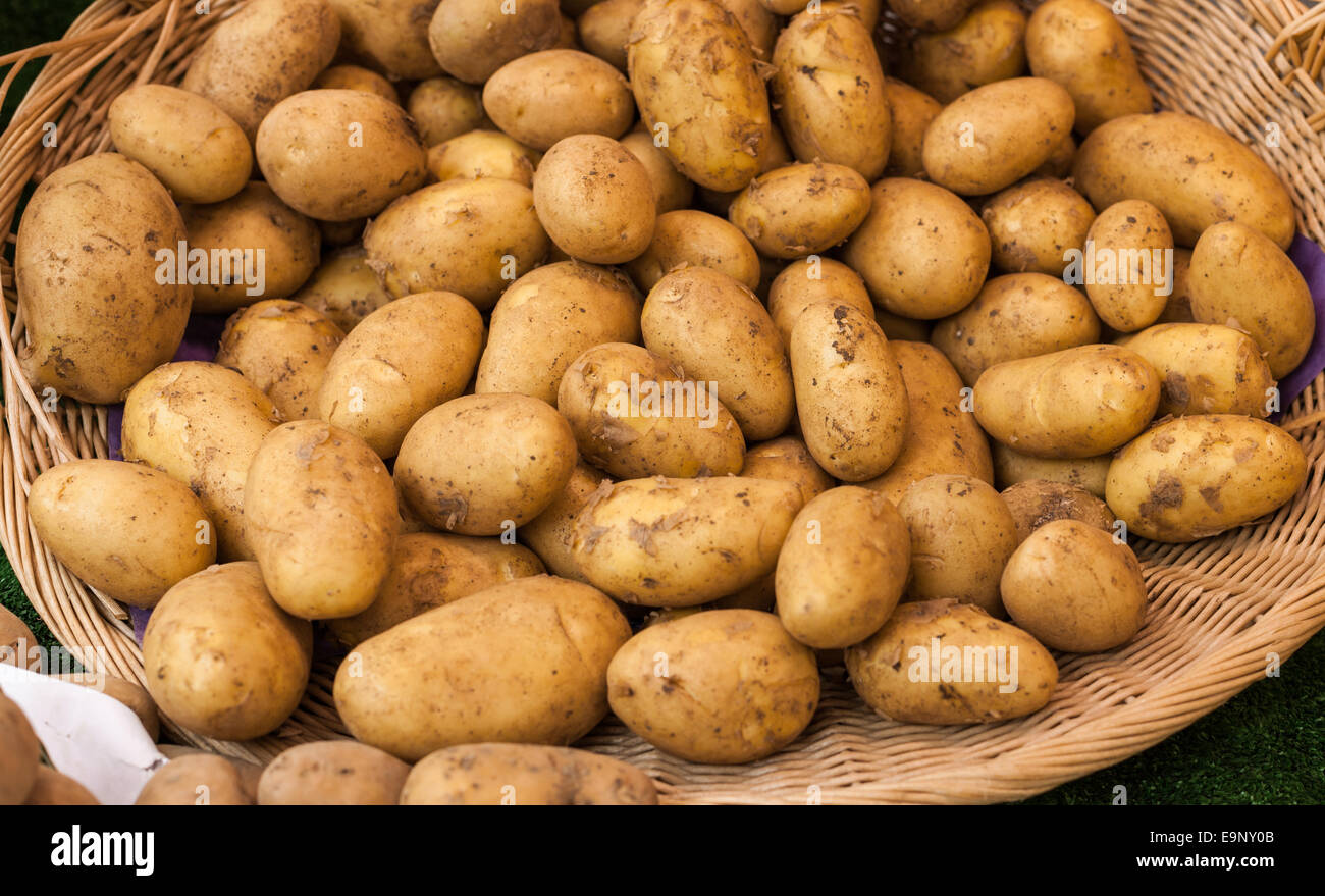 Cesto di Patate fresche al mercato. Foto Stock