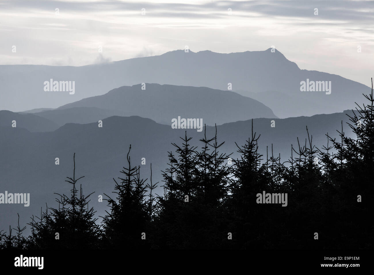Alba sul Beddgelert foresta e nella distanza Cnicht montagna, Snowdonia National Park, North Wales, Regno Unito Foto Stock