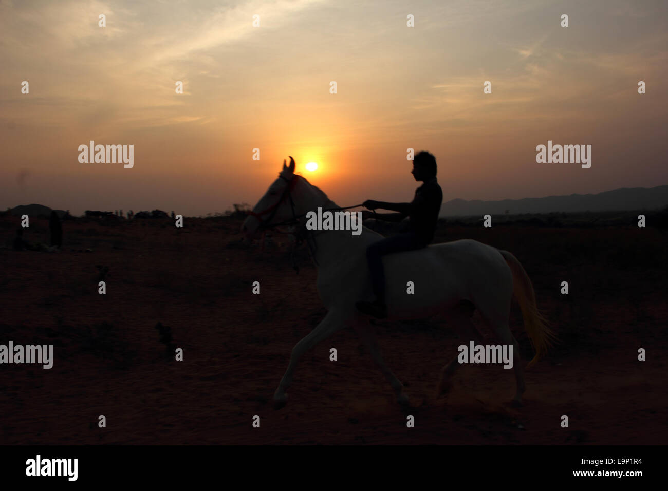 Un ragazzo corse a cavallo alla vigilia di Puskar Fair 2014 dove migliaia di cammelli appena arrivati. © Shashi Sharma/Pacific Press/Alamy Live News Foto Stock