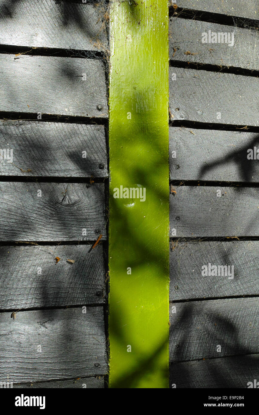 Leaf ombre sul verde e nero di legno verniciato capannone Foto Stock