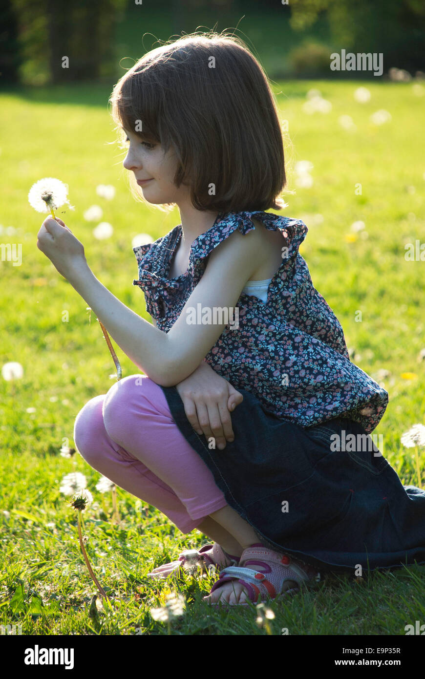 Una giovane ragazza in un soleggiato giardino guardando un dente di leone Foto Stock