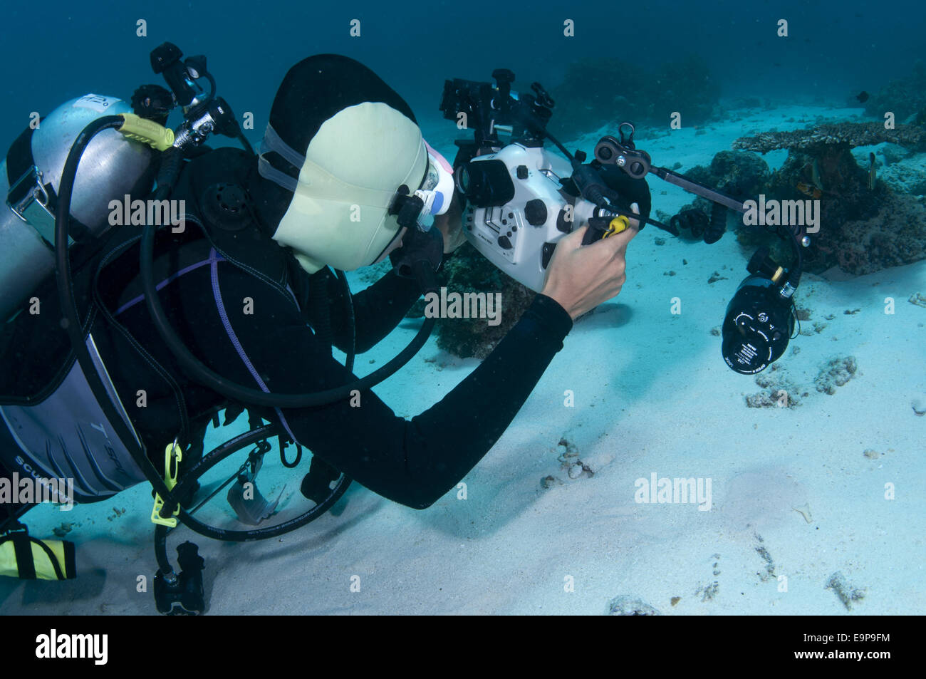 Subacqueo con telecamera subacquea attrezzature, Ameth punto, Nusa Laut,  Leasing Isole Molucche, Provincia, Indonesia, Ottobre Foto stock - Alamy