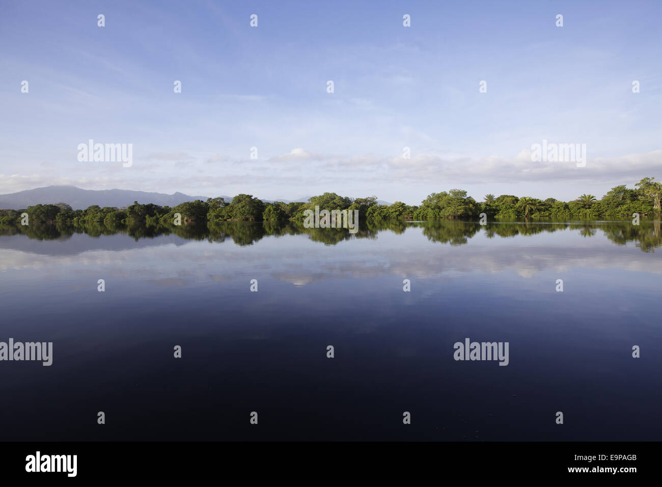 Vista su tutta la baia costiera di palude di mangrovie habitat, Tela Bay, Atlantida, Honduras, Agosto Foto Stock