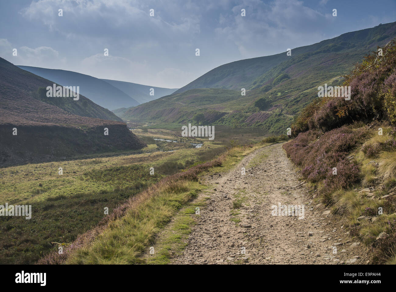 Vista della via attraverso la valle di montagna con il fiume, Langden Brook, Langden, Dunsop Bridge, Trogolo di Bowland, foresta di Bowland, Lancashire, Inghilterra, Settembre Foto Stock