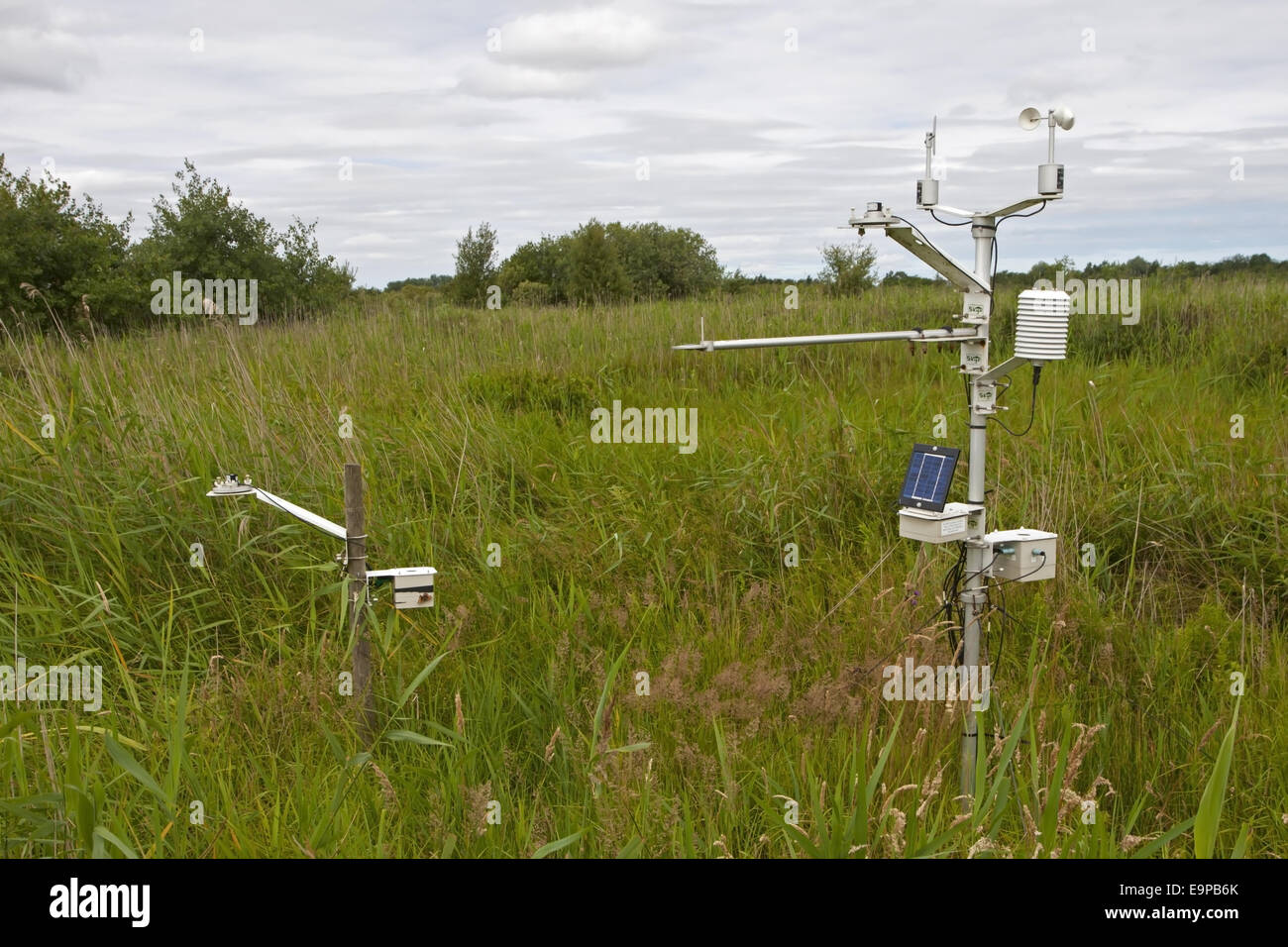 Meteo stazione di registrazione in una palude, Sutton Fen RSPB Riserva, il Parco Nazionale Broads del Norfolk, Inghilterra, Luglio Foto Stock