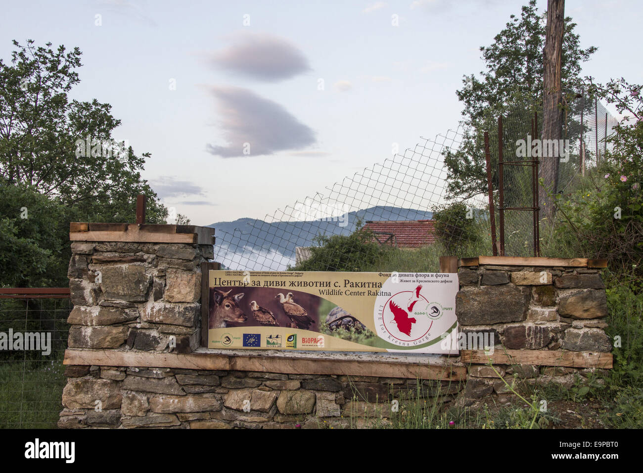 Il Vulture Centro reintroduzione a Rakitna, vicino alla gola di Kresna Bulgaria. Foto Stock