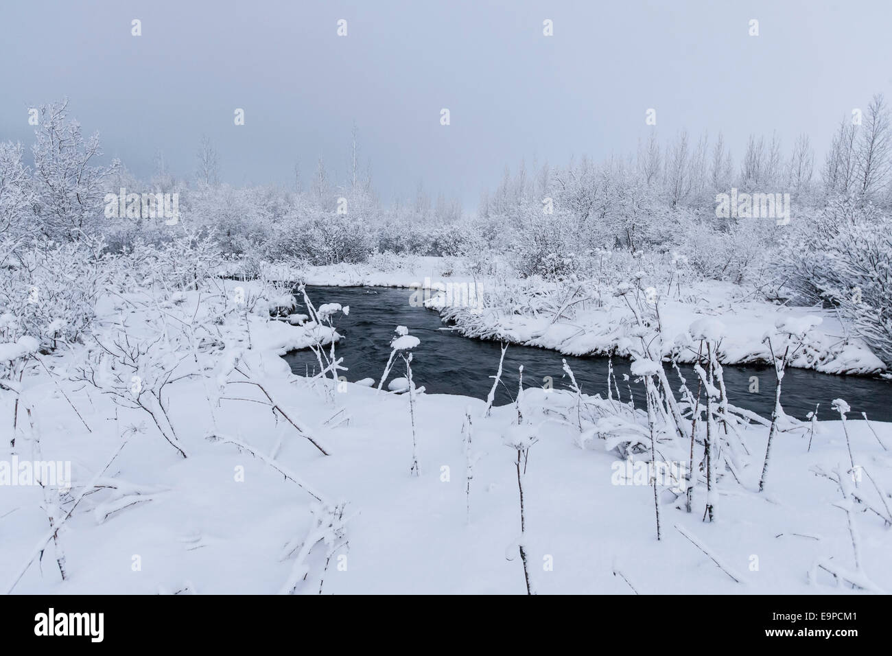Nevicata fresca su una riva di un fiume Foto Stock