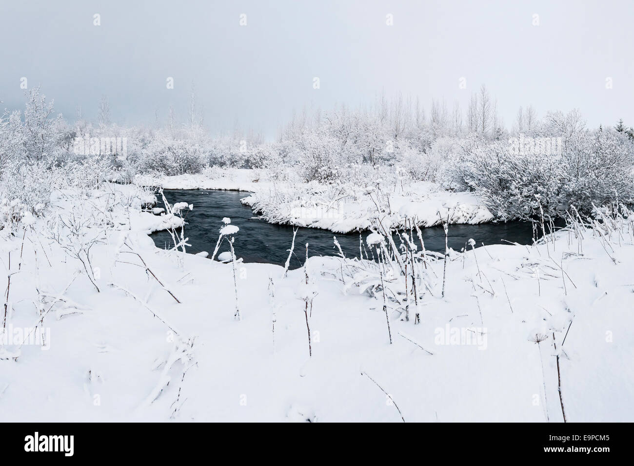Nevicata fresca nel deserto di argine di copertura di un piccolo ruscello Foto Stock