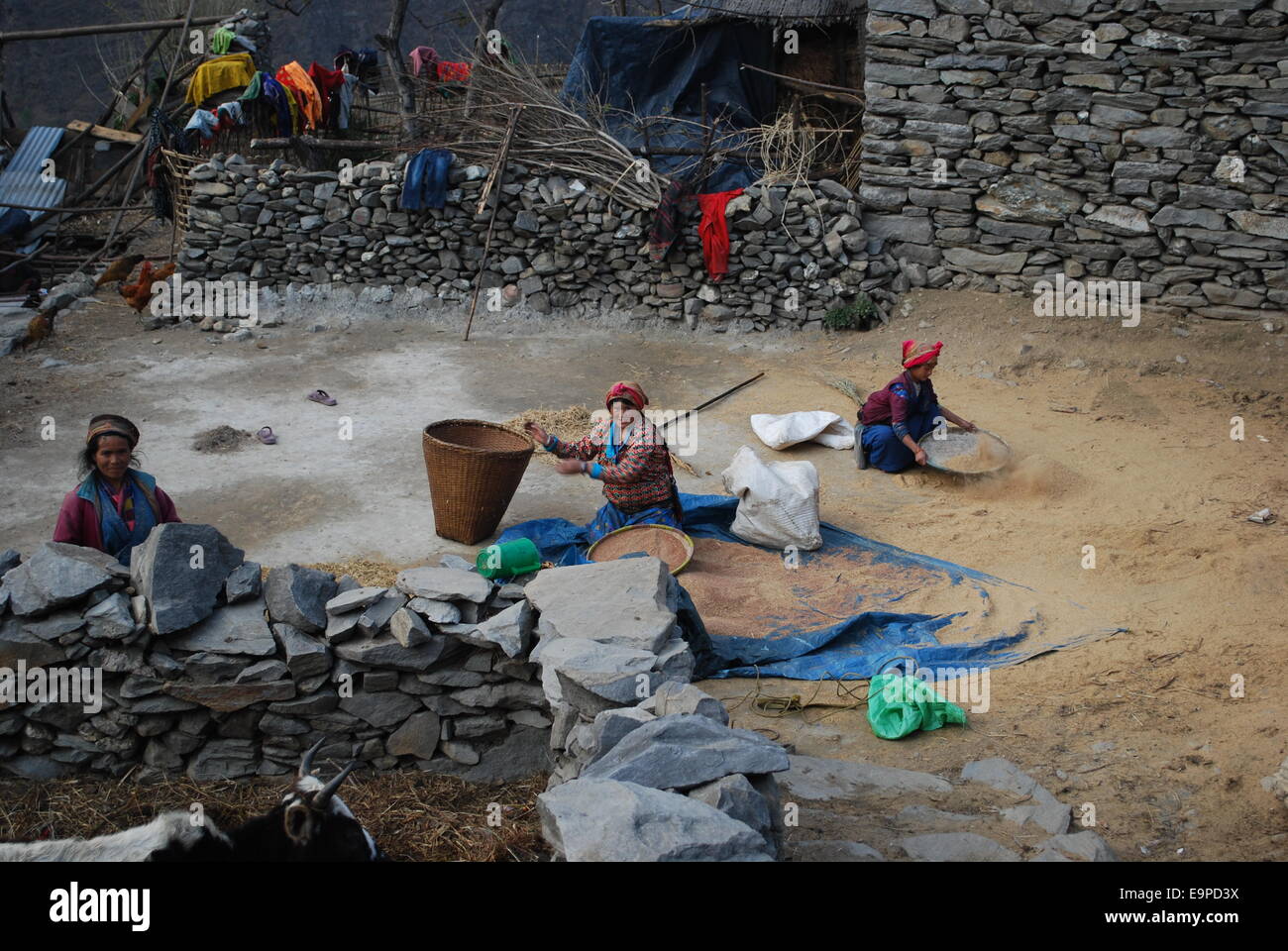 Tamang occupato la vita del villaggio Foto Stock