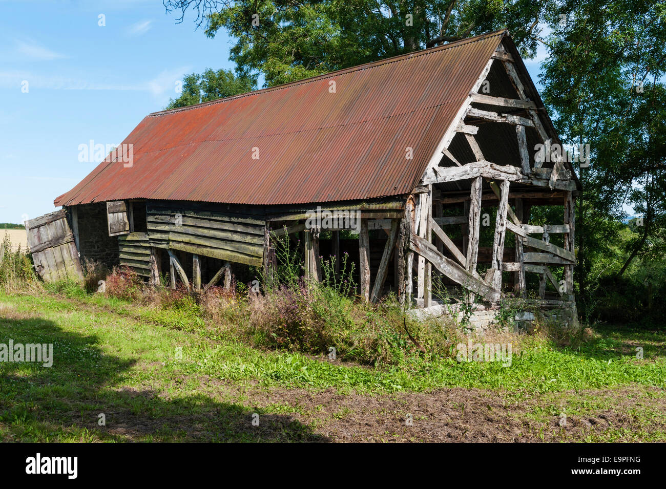 Un vecchio fienile con struttura in legno coperto di ferro ondulato e ora sul punto del collasso, Herefordshire, Regno Unito Foto Stock