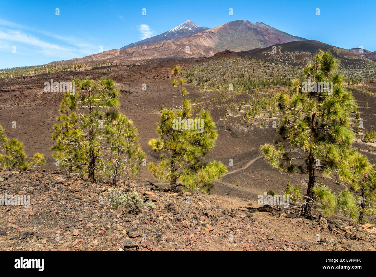 Il monte Teide Tenerife Foto Stock
