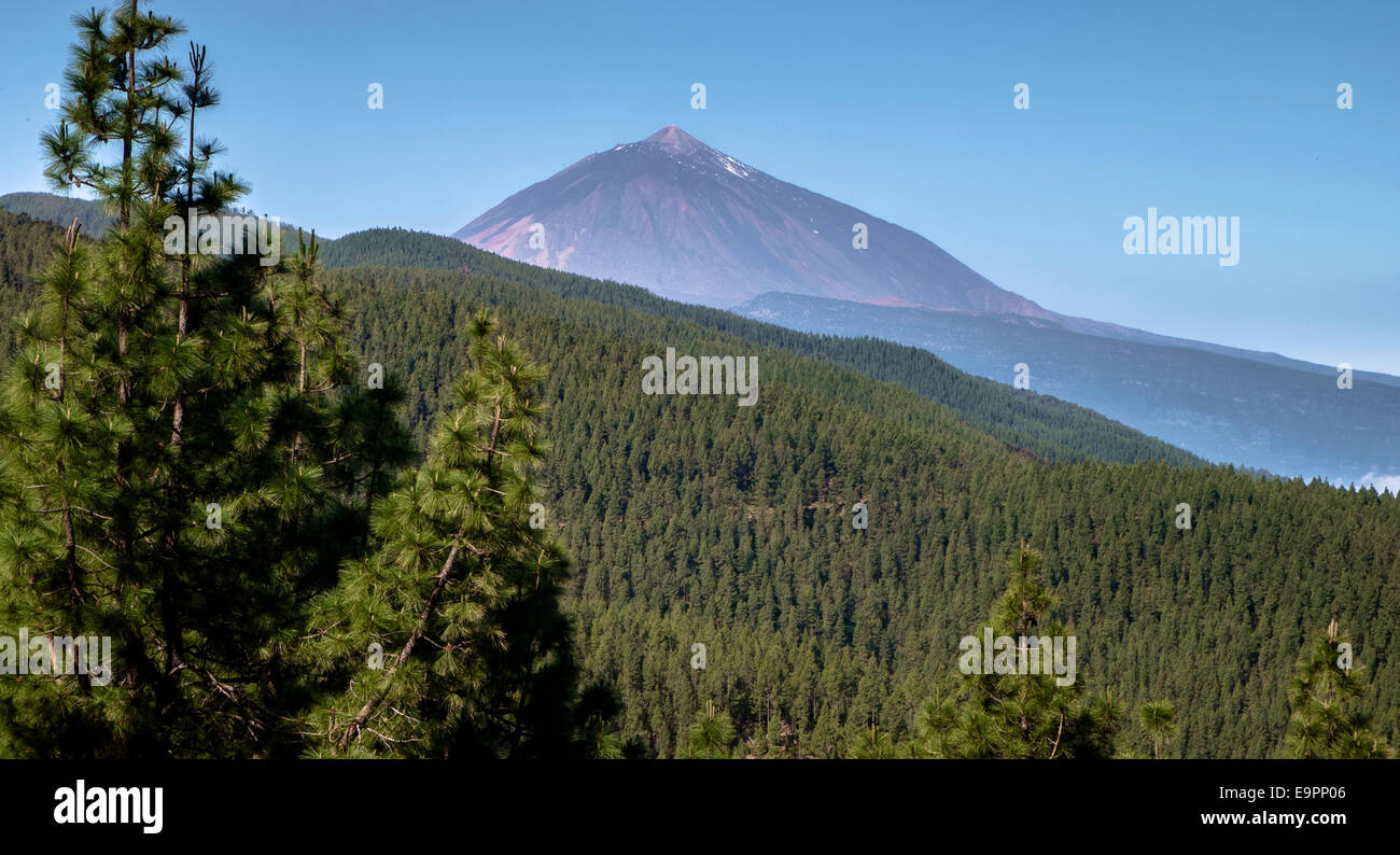 Il monte Teide Tenerife Foto Stock